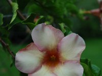 2005022215 Tahiti (February 27 - 28, 2005)