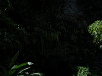 2005022216 Tahiti (February 27 - 28, 2005)