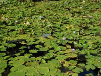2005022230 Tahiti (February 27 - 28, 2005)
