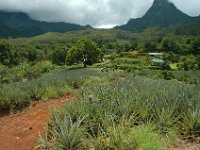 2005022257 Tahiti (February 27 - 28, 2005)