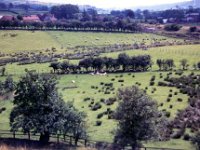 North York Moors, England (August 20, 1986)