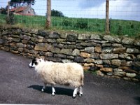 1986082254 Darrel & Betty Hagberg - England Wales Scotland