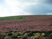 1986082259 Darrel & Betty Hagberg - England Wales Scotland