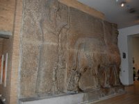 2008062267  Betty-Darrel-Yvette-Felicia-Suzette-Adara London UK