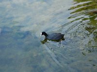 2008062390  Betty-Darrel-Yvette-Felicia-Suzette-Adara London UK