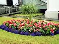 1997071791 Dumfries - Scotland - August 01